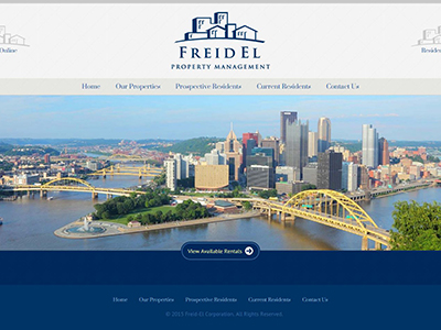 Friedel website