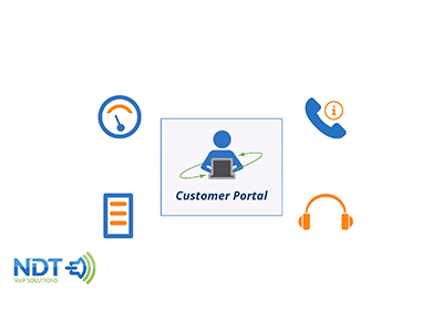 Using the NDT Customer Portal