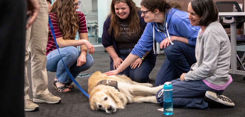 LCS Q2 Social Events - Doggie De-Stress